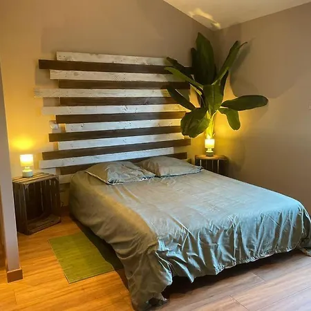 Apartman Welcome To The Jungle ! *